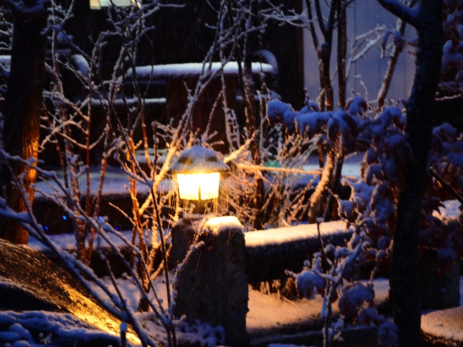 雪景色